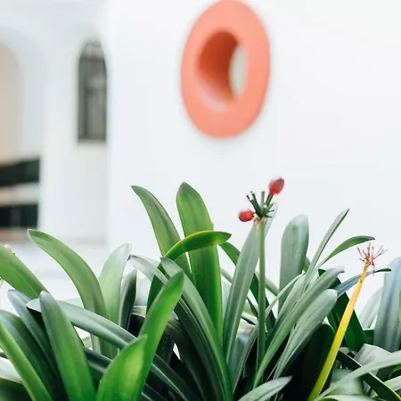 Апартаменты One&lux- Lagar Севилья