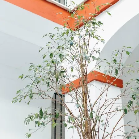 One&lux- Lagar Апартаменты *